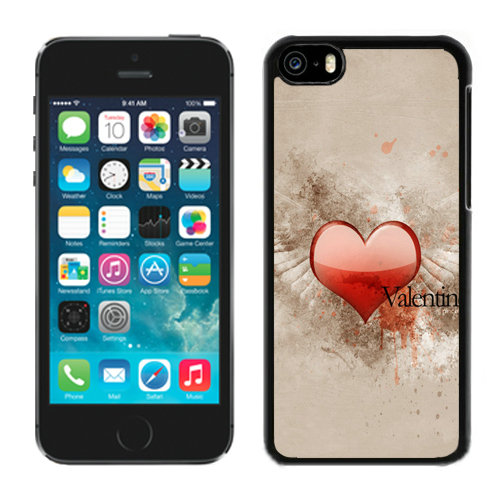 Valentine Love iPhone 5C Cases CKW